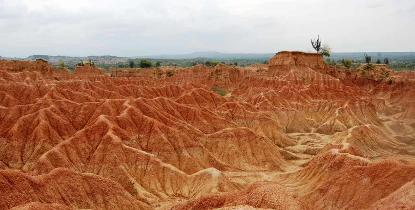 17 DE JUNIO: DÍA MUNDIAL DE LUCHA CONTRA LA DESERTIFICACIÓN Y LA SEQUÍA