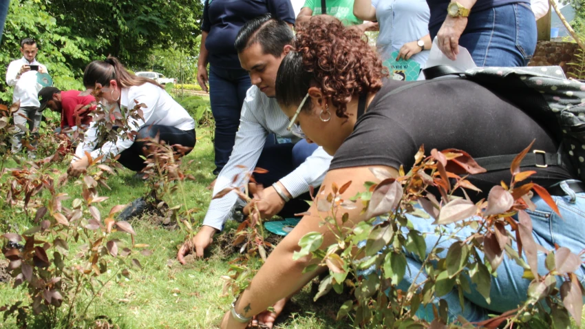 Mujeres de Asovenplaya presentan su nuevo Plan Turístico 