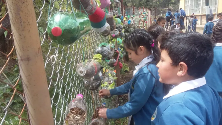 blog Niños y niñas realizan sembratón de 810 plántulas en Samacá