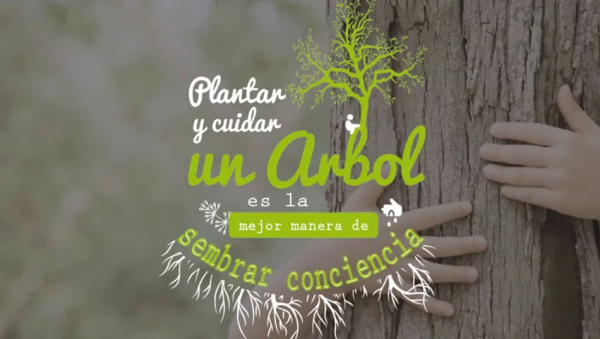 blog 29 DE ABRIL: DÍA MUNDIAL DEL ÁRBOL