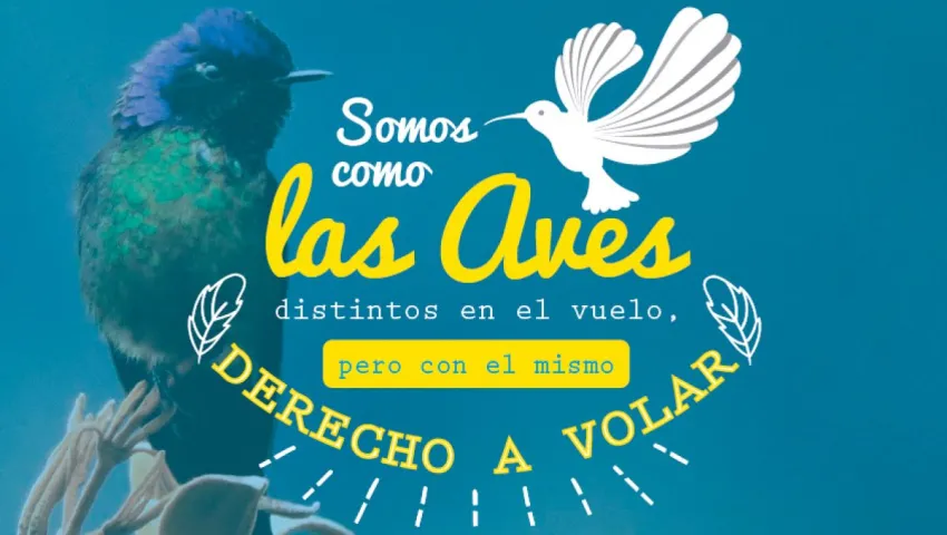 blog 10 DE MAYO: DÍA MUNDIAL DE LAS AVES MIGRATORIAS