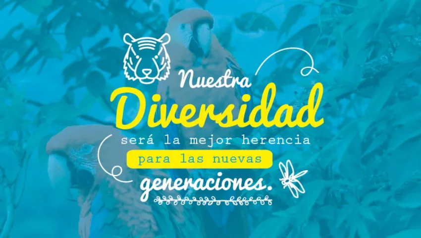 blog 22 DE MAYO: DÍA INTERNACIONAL DE LA DIVERSIDAD BIOLÓGICA