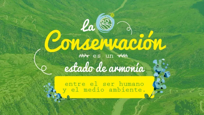 blog 5 DE JUNIO: DÍA MUNDIAL DEL MEDIO AMBIENTE